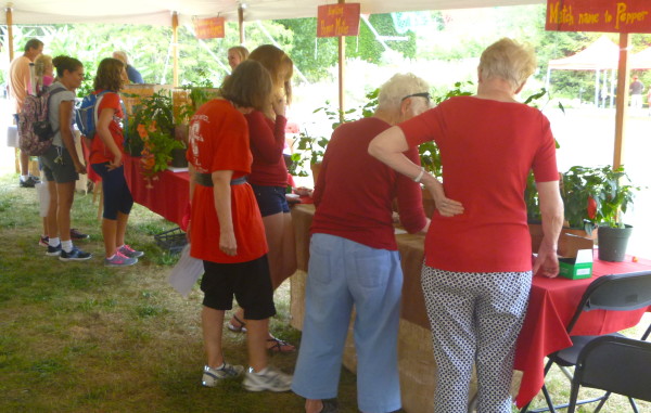 Pepper lovers examining their favorite fruit.