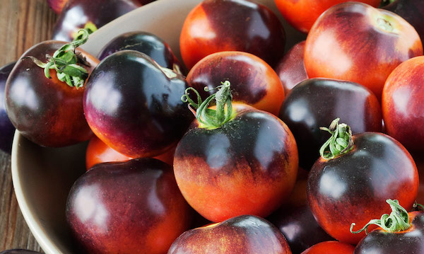 Indigo Rose Tomato